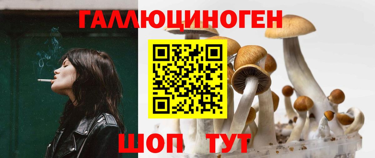 Тула  Галлюциногенные грибы Psilocybe  Галлюциногенные грибы мицелий  Вход с VPN 